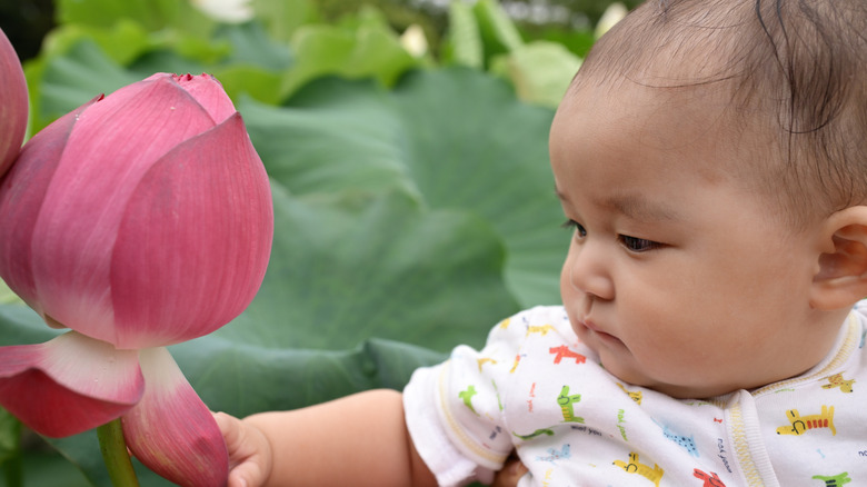 baby with a lotus flower