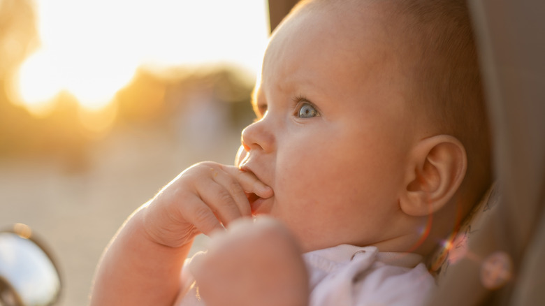 A baby looking to the side with the sun rising in the background