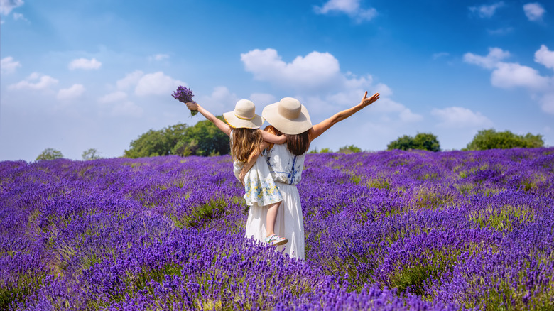 mother and daughter in a lavender field