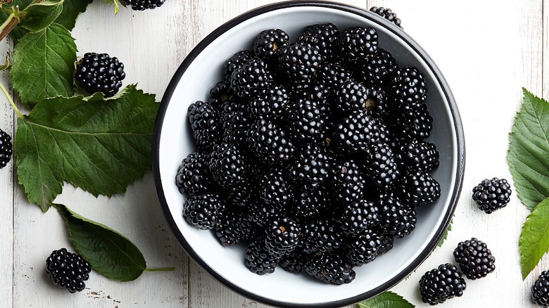 Fresh blackberries in a white bowl with black trim on a white-washed wooden surface