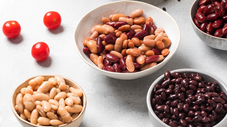 Canned black beans, white beans, pinto beans, and kidney beans in separate bowls over a light gray surface