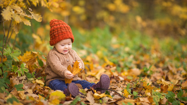 baby sitting in the autumn forest with a leaf