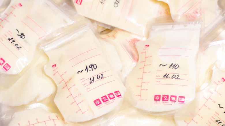 close-up of lots of breast milk storage bags