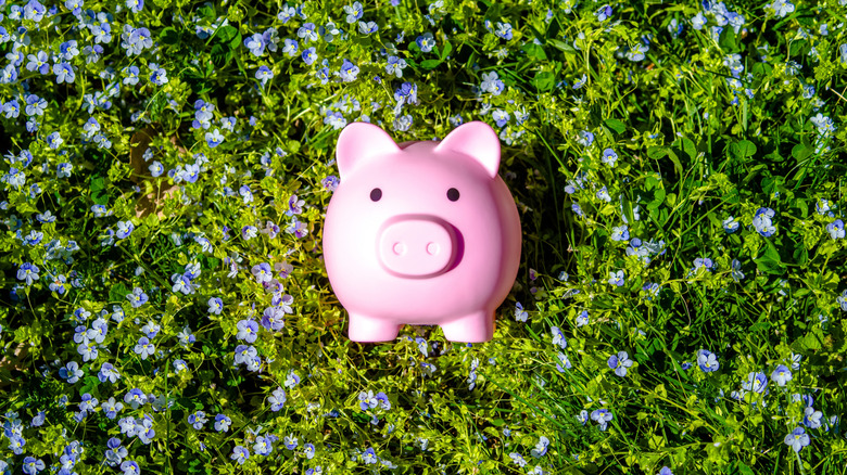 Piggy bank lying on the grass among a patch of small flowers