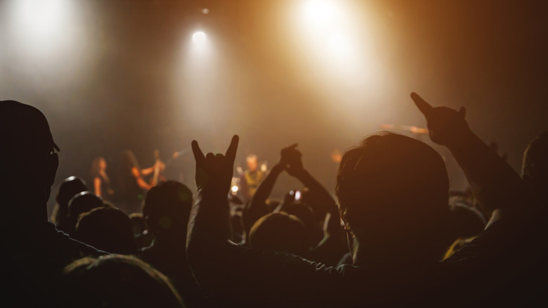 happy crowd at a rock show