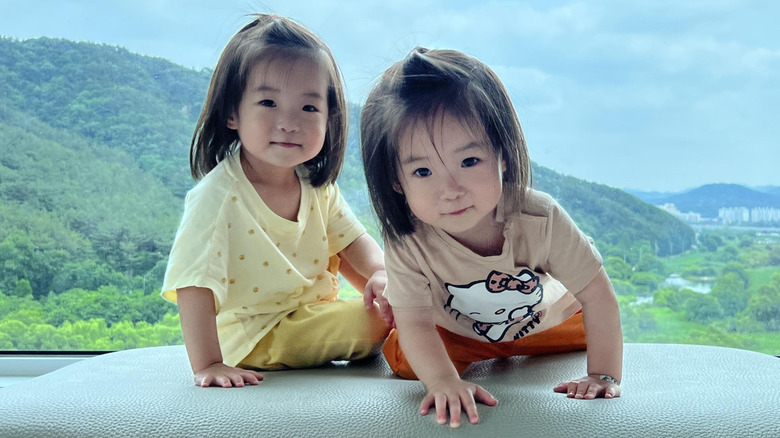 Asian twin girls on ottoman with scenery in background