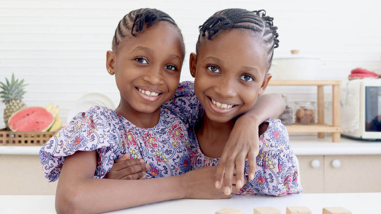 Twin girls with braided hair and purple flower dresses