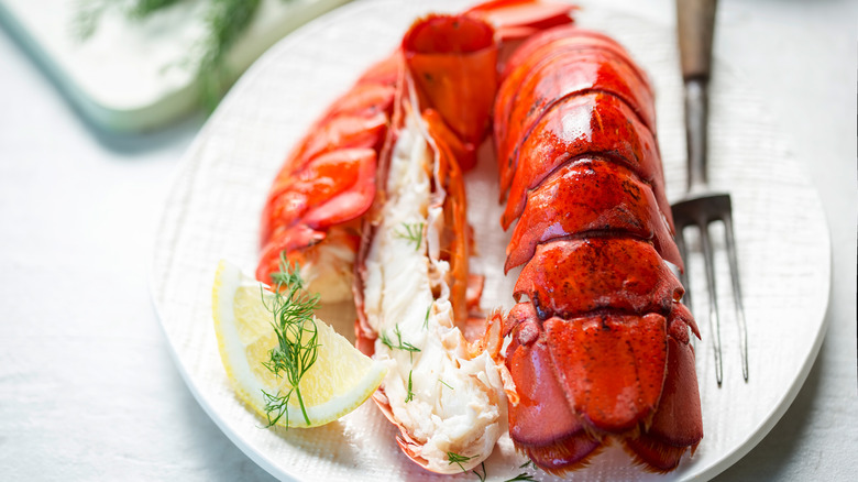 Lobster tail with dill and lemon wedge