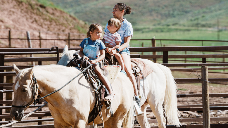 Kids in field with pony wearing cowboy hats