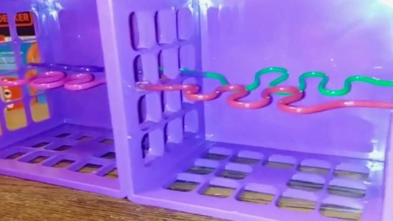 Shoes lined up neatly