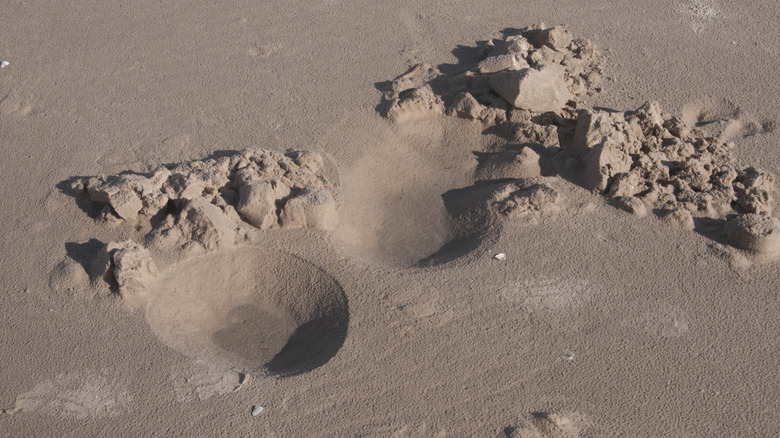 Two holes in the sand on a beach