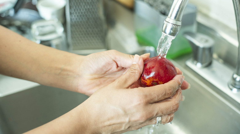 close-up of person washing apple under running water