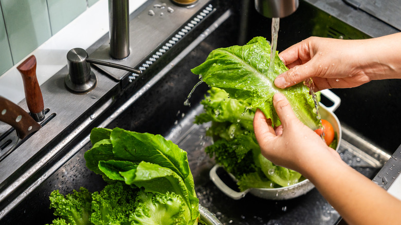 Hands holding a piece of lettuce under a faucet with running water washing over it inside a sink basin