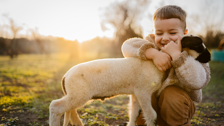 little boy with a lamb